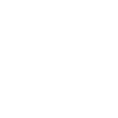 WomanOwnedLogoWhite-8bit-500w